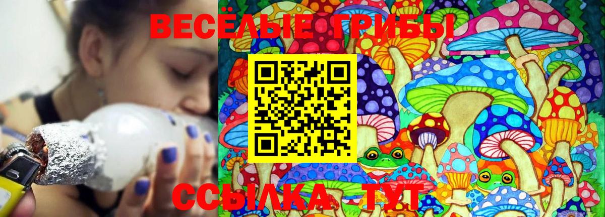 Псилоцибиновые грибы Psilocybine cubensis  Вход с VPN  Псилоцибиновые грибы GOLDEN TEACHER  Семилуки 