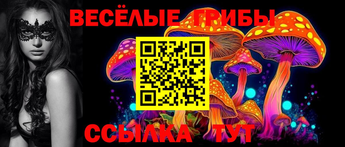 Галлюциногенные грибы ЛСД Семилуки